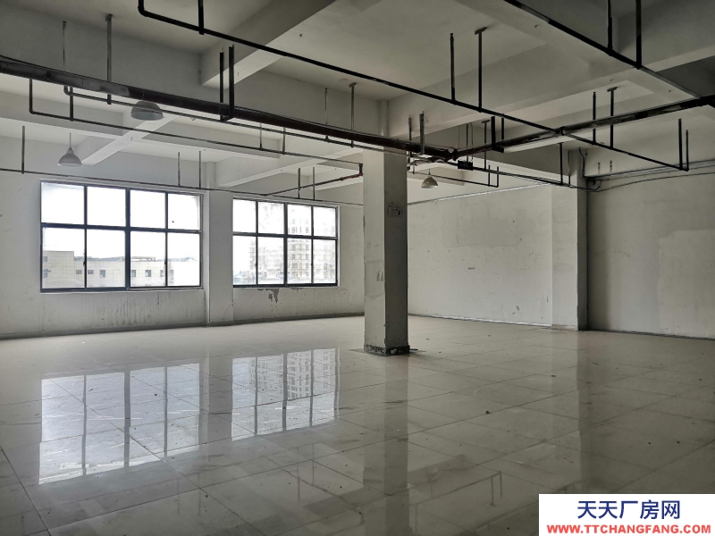 童裝行業(yè)廠房出租 產(chǎn)業(yè)帶集中 500平方 服裝行業(yè) 直播裁剪