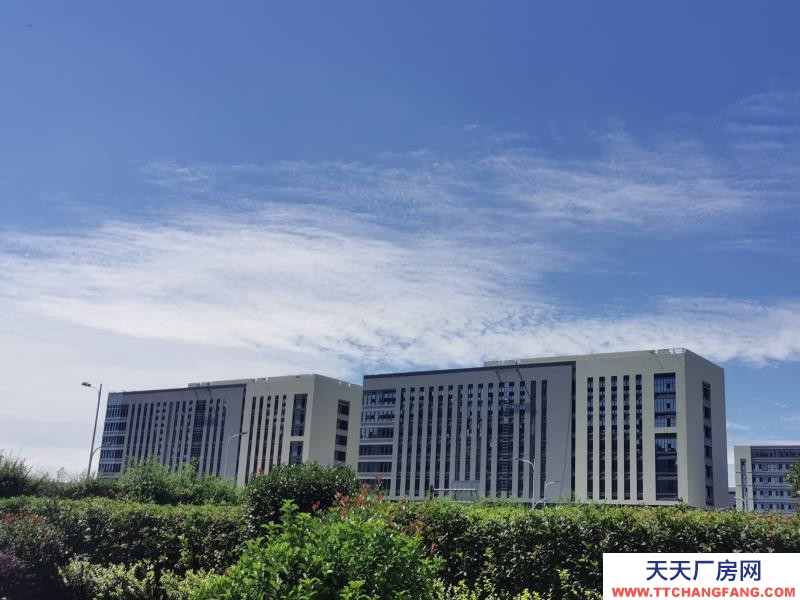 溫江醫藥廠房現房出租,政府租金優惠扶持