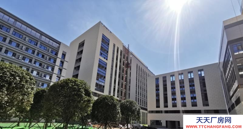 溫江醫藥廠房現房出租，政府租金優惠扶持
