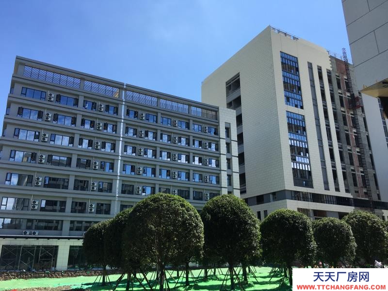 溫江醫藥廠房現房出租,政府租金優惠扶持