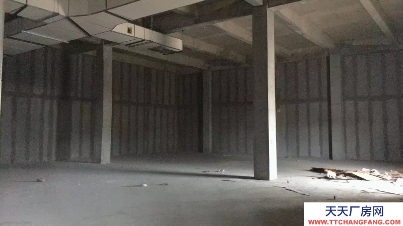 溫江醫藥廠房現房出租,政府租金優惠扶持