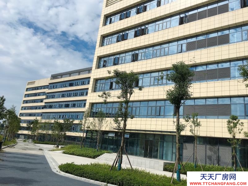 溫江醫藥廠房現房出租,政府租金優惠扶持