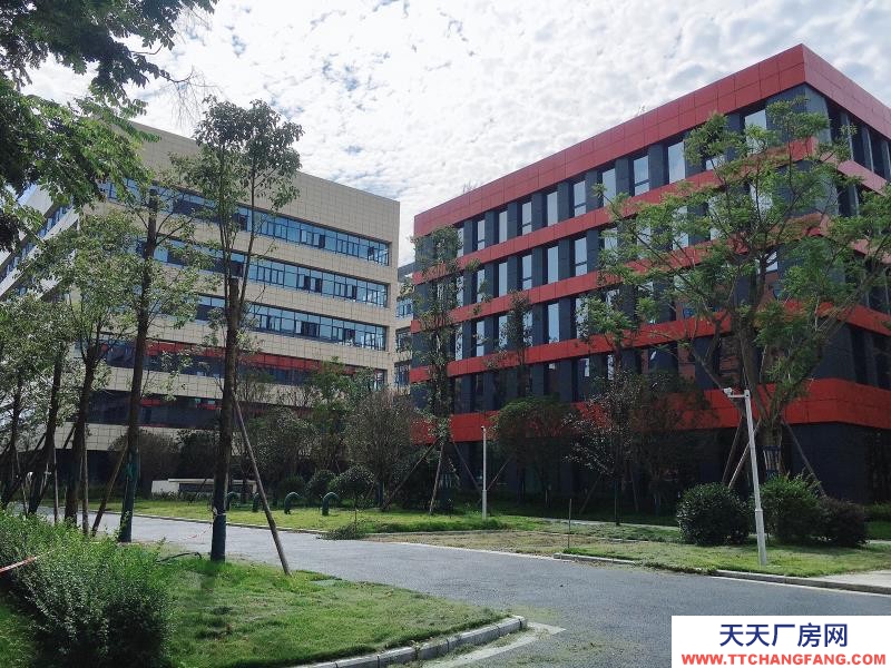 溫江醫藥廠房現房出租,政府租金優惠扶持