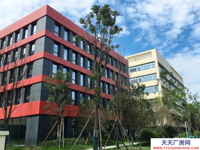 溫江醫藥廠房現房出租,政府租金優惠扶持