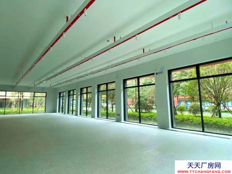 溫江醫藥廠房現房出租,政府租金優惠扶持