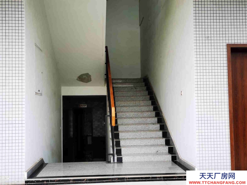 雙流調(diào)味品食品廠房出租