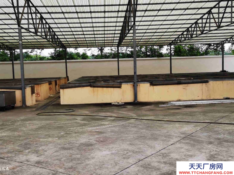 雙流調(diào)味品食品廠房出租