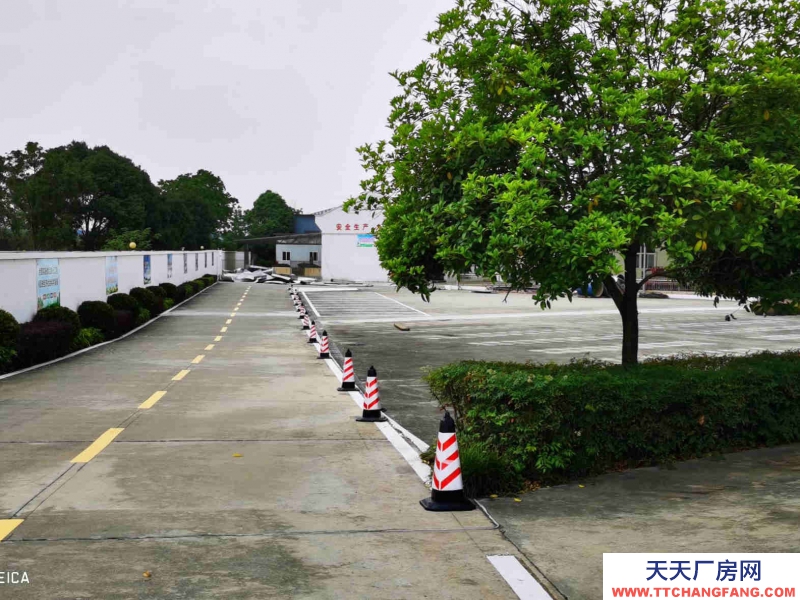 雙流調(diào)味品食品廠房出租