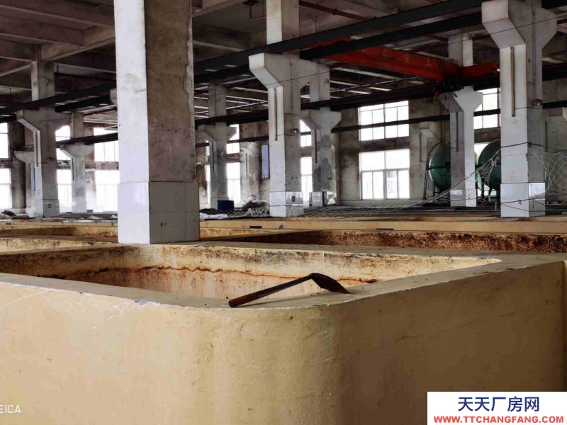 雙流調(diào)味品食品廠房出租