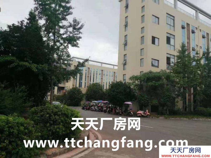 金堂食品廠房出租，金堂食品車間出租