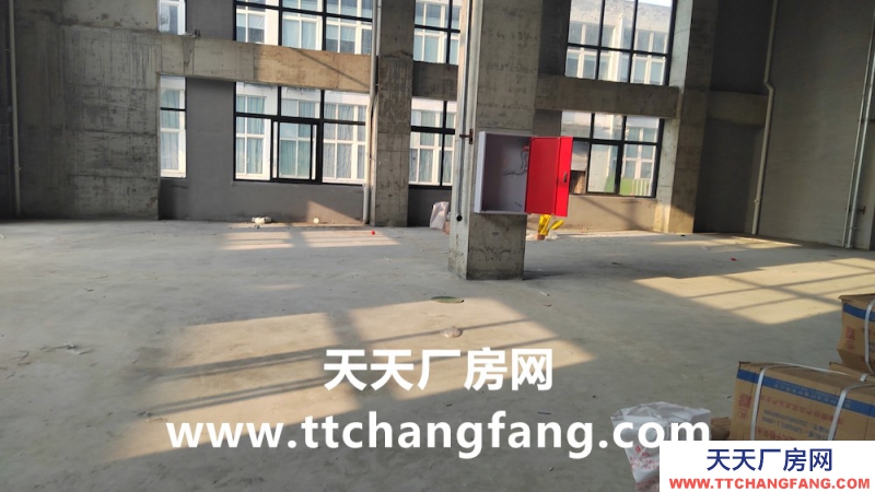 溫江全新食品標準廠房出租