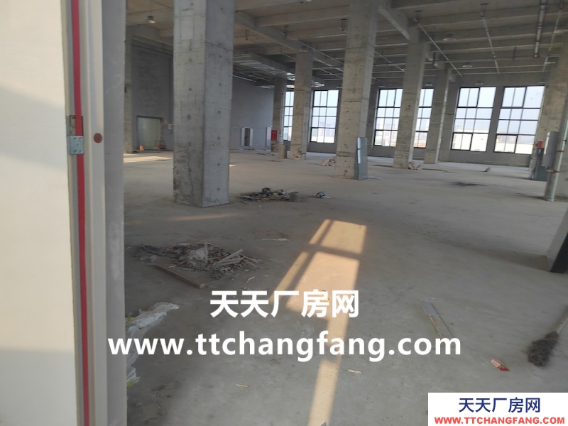 溫江全新食品標準廠房出租