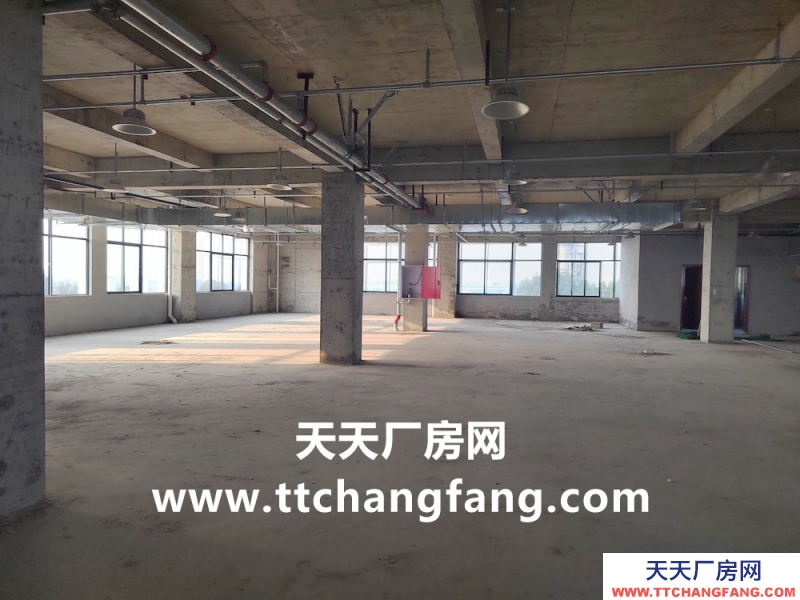 溫江全新食品標準廠房出租