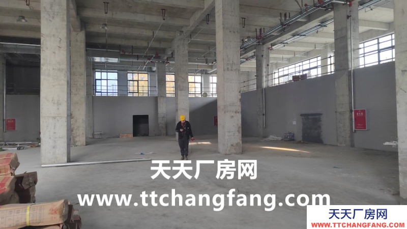 溫江全新食品標準廠房出租