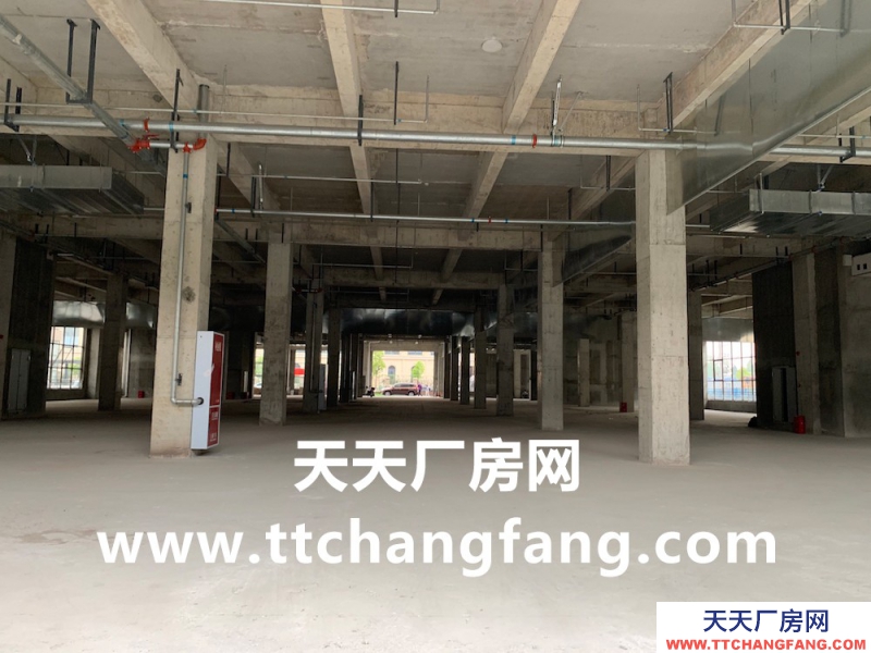 溫江食品多層標準食品廠房現(xiàn)房出租