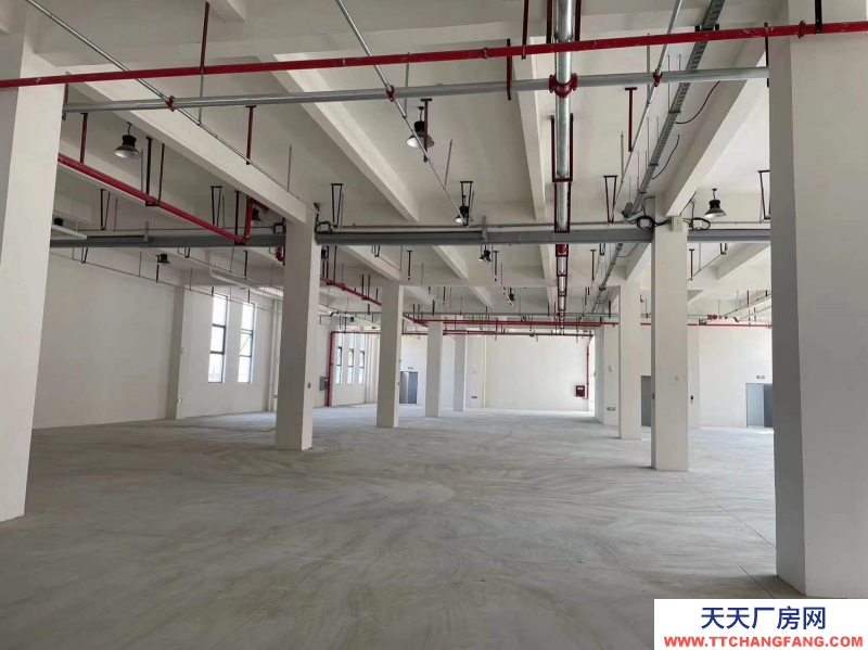 高端園區品質廠房15000平可分租3000平起租