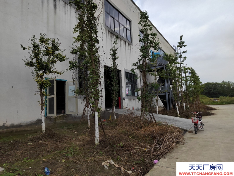 成都市新津區(qū)食品園區(qū)廠房出租3000-15000平米可分租