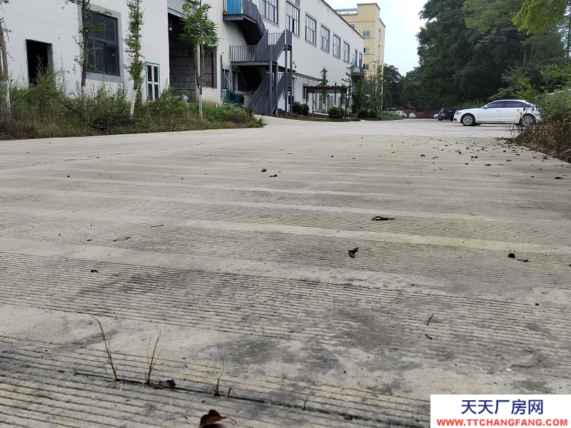 成都市新津區(qū)食品園區(qū)廠房出租3000-15000平米可分租