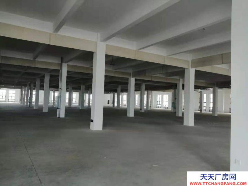 仁壽20萬平米食品產(chǎn)業(yè)園區(qū)廠房出租3000平米-8000平米可分