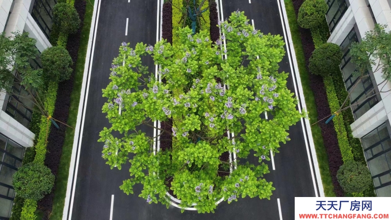 獨立產權現房廠房 生產研發辦公 環評安評保證 成都廠房