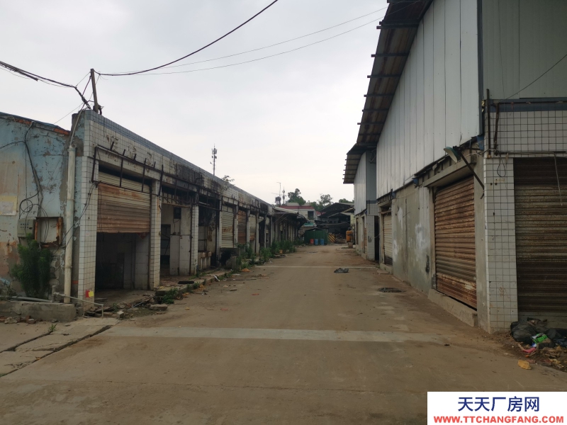 出租龍泉驛大面廠房、庫(kù)房、臨街鋪面