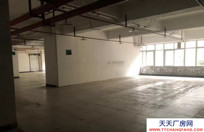 重慶廠房出租 一號橋地母亭1000平米廠房出租