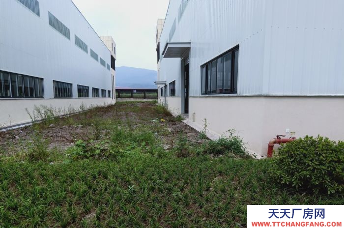 重慶凈高11米優(yōu)質廠房?您發(fā)家的興旺之地