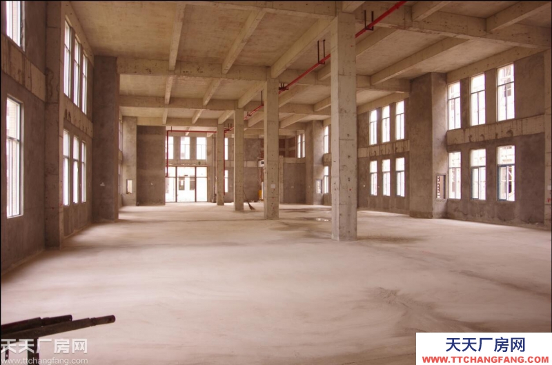 獨(dú)棟標(biāo)準(zhǔn)廠房出租售+50年產(chǎn)權(quán)+易按揭