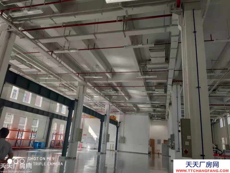 獨棟標準廠房租售，優質產業聚集，帶環評