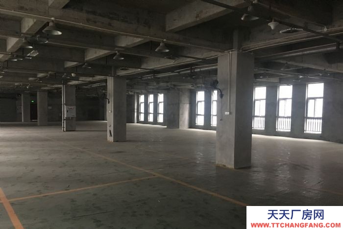 寸灘曙光園區標準獨立廠房出租,可用做倉庫或機加工