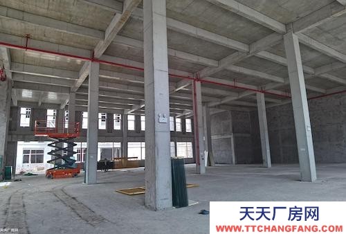 地鐵旁2000平現房獨棟8米挑高，提供免費車位