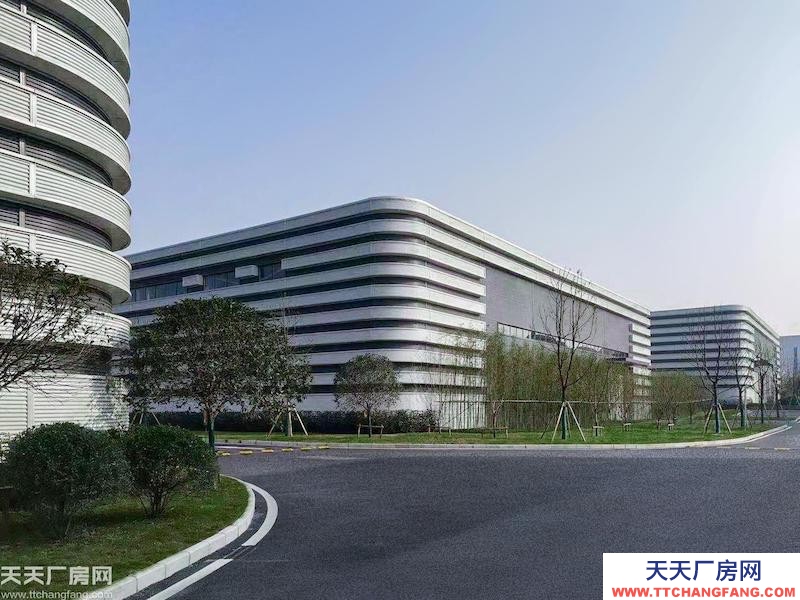 單層輕鋼11米層高,低租金