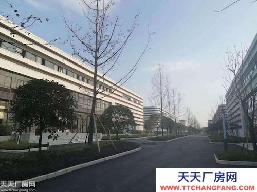 沙坪壩大學(xué)城（單層）輕鋼廠房出租（空高11米）