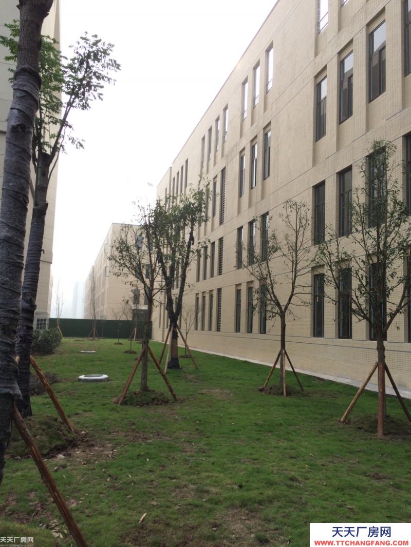 沙坪壩大學城廠房租售