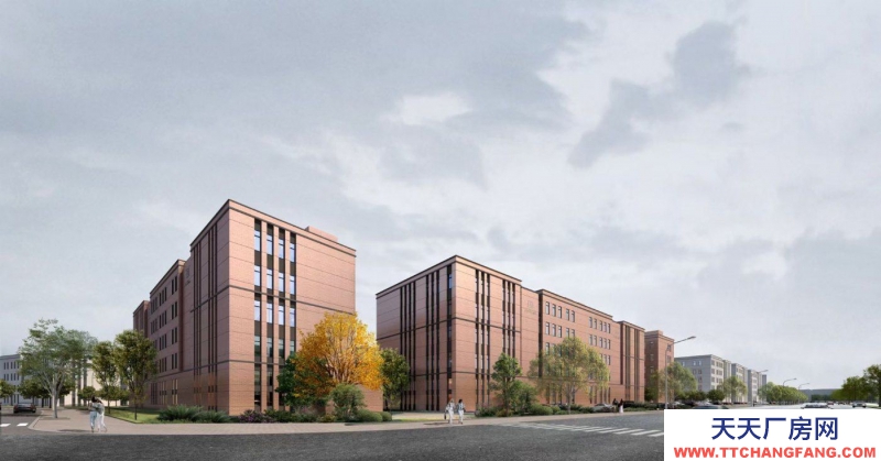 重慶高新區直管園?一企一棟?輕軌旁?配套成熟?享獨棟冠名