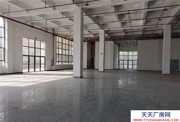 重慶九龍坡標準廠房出租，租金每平方16元，價格可談，可分租