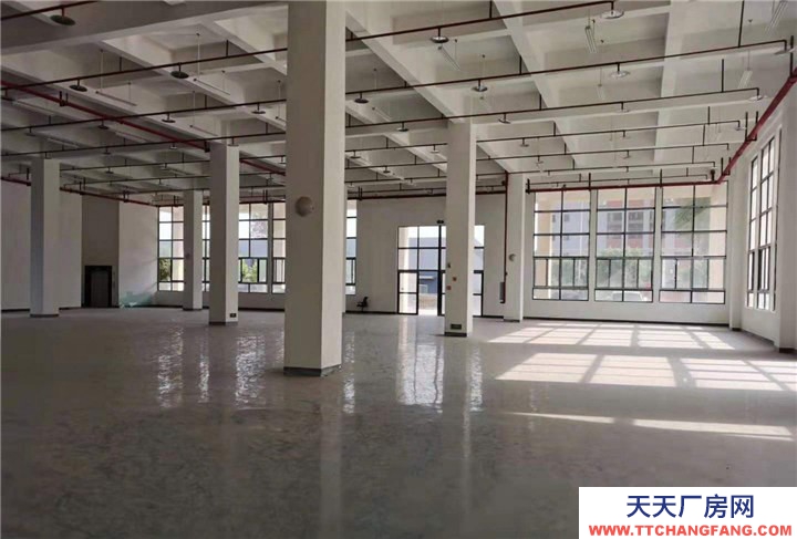 重慶九龍坡標準廠房出租，租金每平方16元，價格可談，可分租