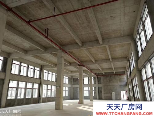 高新區雙福新區800-5000標準廠房出租售 獨立產權