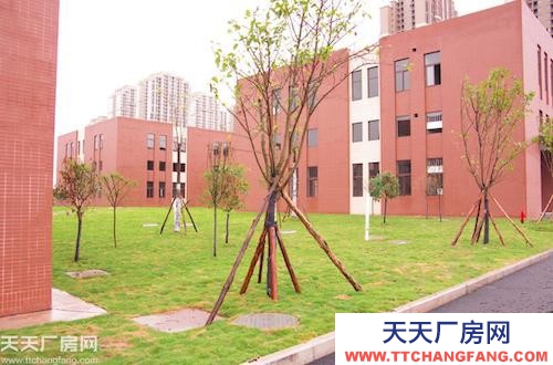 主城稀缺標(biāo)準(zhǔn)廠房租售（800平起）