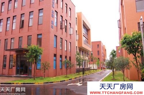 主城稀缺標(biāo)準(zhǔn)廠房租售（800平起）