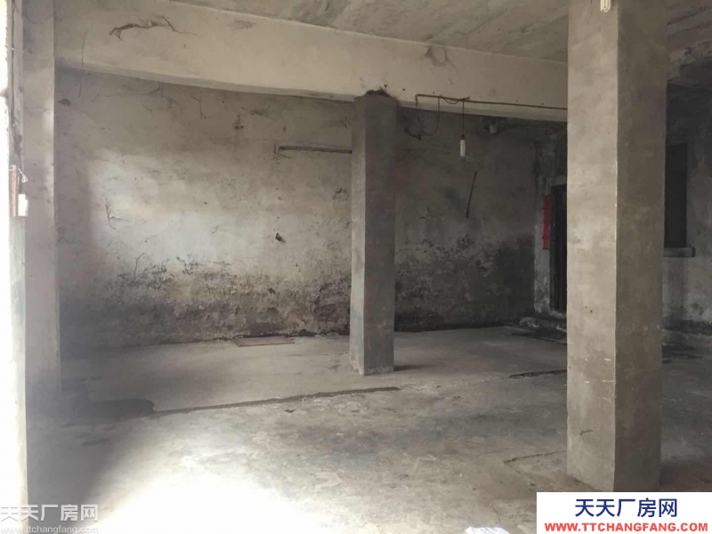 重慶九龍坡廠房出租