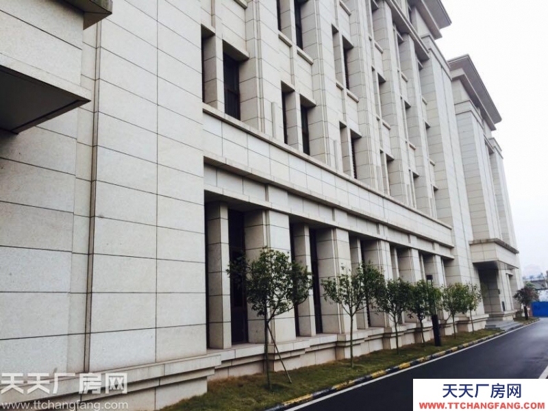 內環旁，獨棟標準廠房租售，1000平起