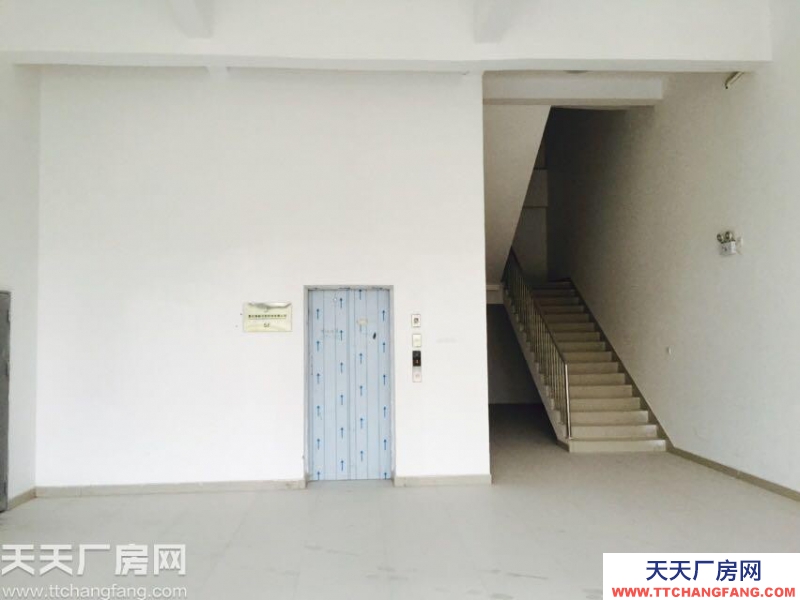 內環旁，獨棟標準廠房租售，1000平起