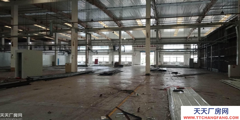 南岸區茶園新區附近廠房出租和庫房出租