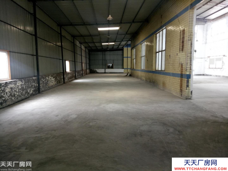 南岸區茶園新區1050廠房出租