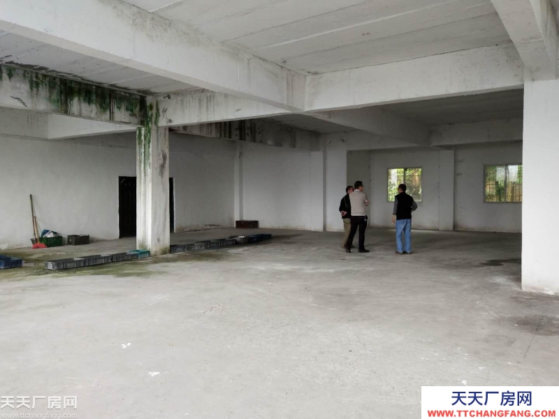 南岸區雞冠石450平廠房出租