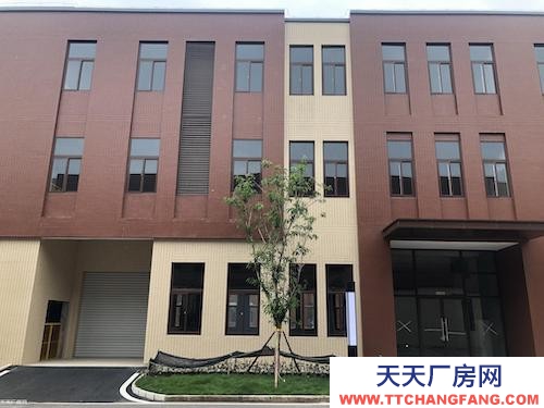 稀缺全新雙層廠房?園區可走大車?4000平