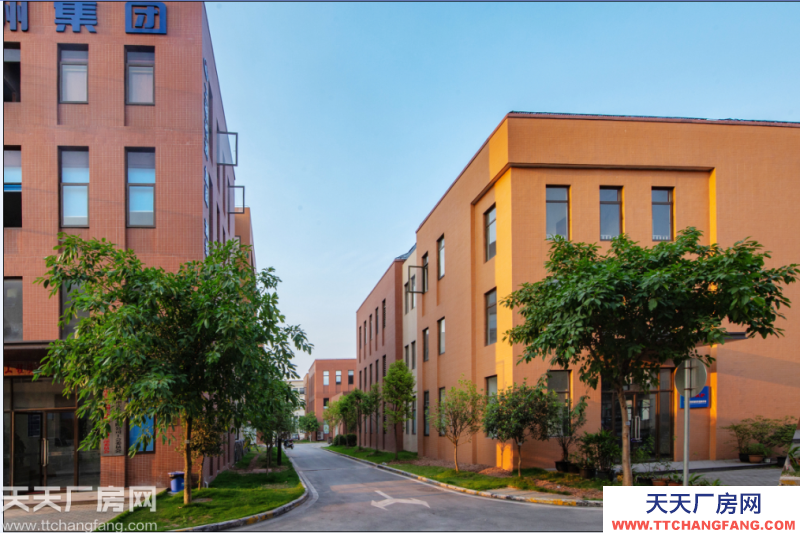 （出租）靈活小戶 獨立產權 500㎡起 標準廠房