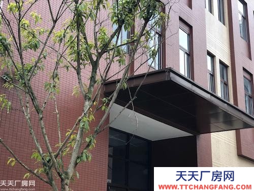 兩江新區(qū)?智能制造產(chǎn)業(yè)園?品質(zhì)標準廠房?1000㎡起