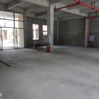 獨(dú)棟 50年產(chǎn)權(quán) 標(biāo)準(zhǔn)廠房出售可按揭